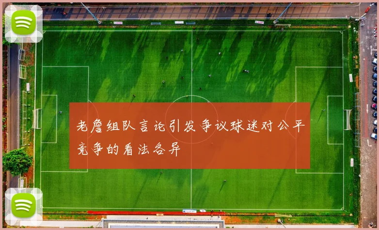 老詹组队言论引发争议球迷对公平竞争的看法各异
