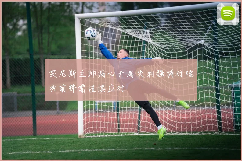 突尼斯主帅痛心开局失利强调对瑞典前锋需谨慎应对