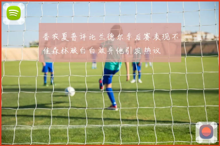香农夏普评论兰德尔季后赛表现不佳森林狼白白放弃他引发热议