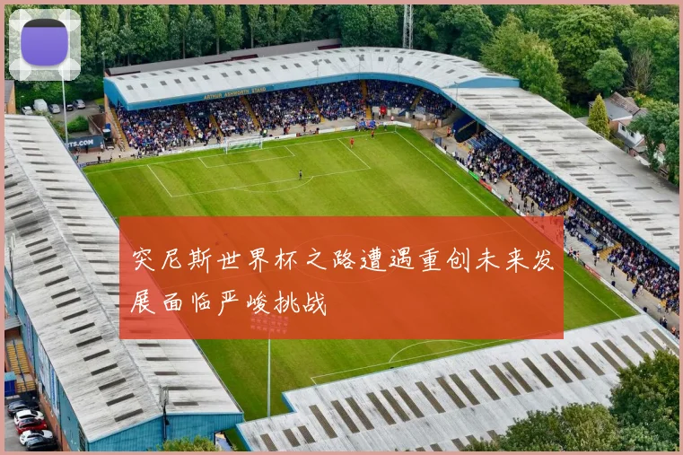 突尼斯世界杯之路遭遇重创未来发展面临严峻挑战
